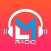 LMR Radio