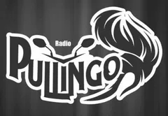 Pullingo Radio