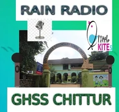 RAIN RADIO